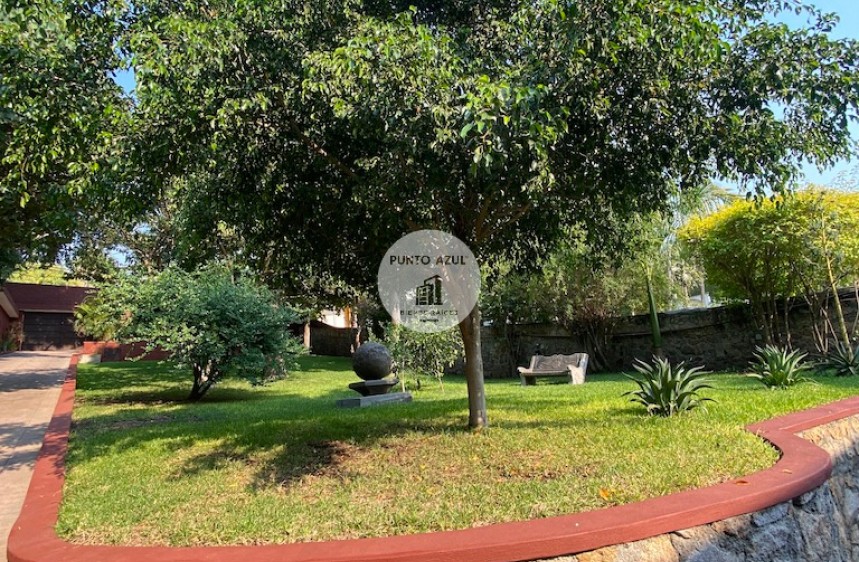 20 de 58