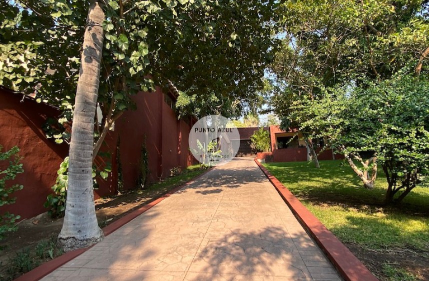 6 de 58