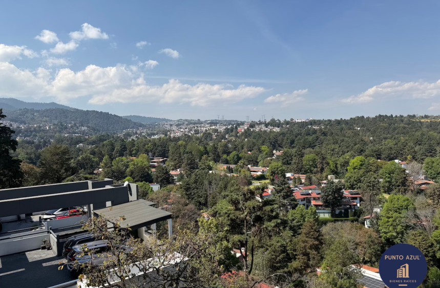 11 de 25