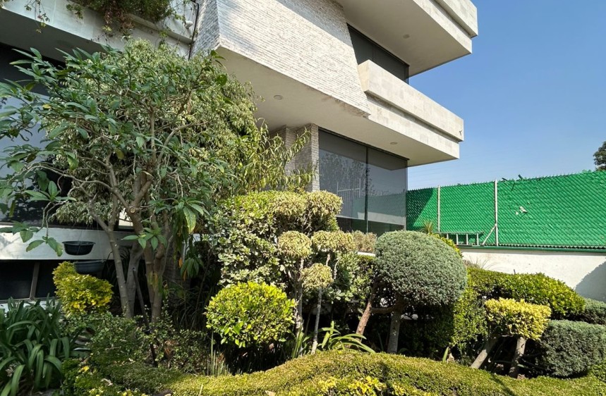 8 de 50